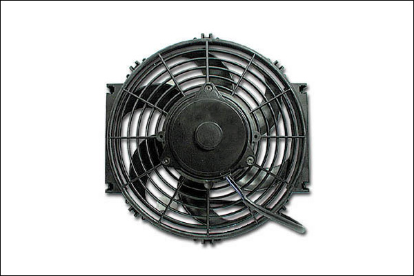 fan